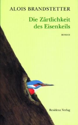 Coverabbildung von 'Tenderness of an iron key'