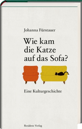 Coverabbildung von 'How did the cat get on the sofa?'