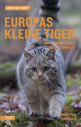 Coverabbildung von "Europas kleine Tiger"