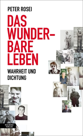 Coverabbildung von 'Das wunderbare Leben'